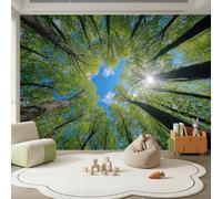 3D Panoramique Murale 200 x 140 cm Papier Peint Intissé Pour Salon Chambre Enfant Chambre, Nature Paysage Décoration Murale Poster Tableaux Photo Muraux Plantes Arbres Ciel Lumière du soleil