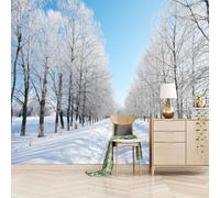 3D Papier Peint Panoramique Soie Forêt Blanche Enneigée,130x80cm Scène De Neige Hivernale Murales Poster pour le salon ou la chambre à coucher