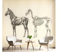 3D Papier Peint Panoramique Structure squelettique du cheval, Papier Peint Panoramique Murale Diagramme d'anatomie scientifique pour Salon Chambre Chambre D'Enfant - Décoration Murale Photo 300x210cm
