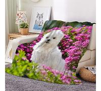 3D Plaid Couverture Polaire en Flanelle Chiot Maltais Douce Chaude Microfibre ete Hiver Couverture 100x130 Chien Animal Linge de lit Couvre-lit Couverture de cnapé pour Bebe Fille Garcon Enfant