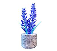 3D Plantes artificielles Forme l'aromathérapie Vent voiture Love Air Stone Creative Perfume Car diffuseur Perfume Clip Clitining Car accessoires intérieurs 1pc (C, 10cm / 4 pouces)