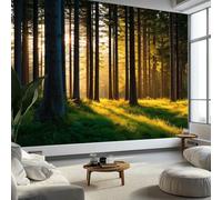 3D Poster Papier Peint Paysage Naturel Papier Peint Panoramique Intissé, Coucher De Soleil En Forêt Arbres Et Soleil Pour Salon Chambre Chambre D'Enfant Décoration Murale 450 x 280 cm