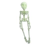 3D Printed Poseable Skeleton & Skull Magnets, Posable Fridge Magnets,Mini Articulated Fridge Magnet with Movable Joints Magnetic Decorations for Halloween, Office, Or Locker Gecorations