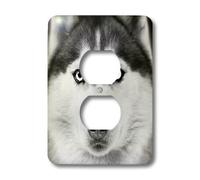 3D Rose LSP_11326_6 Assiettes murales Husky Sibérie