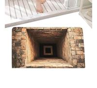 3D Rugs Optical Illusion - 3D Hole Illusion Rug Floor Mat | Non-Slip Realistic Funny Carpet, for Living Room Kitchen Entrance Floor Apartment Farmhouse Office Hotel Indoor Outdoor Bedroom