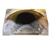 3D Rugs Optical Illusion - Home Decor, Trap Optical Illusion Bottomless Non-Slip Doormat | Indoor/Outdoor for Door Entrance Bathroom Stairs Playroom Living Room Or Area Decoration (I,11.81 * 15.74in)