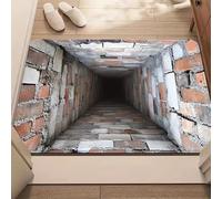 3D Rugs Optical Illusion - Rug That Look Like a Hole in The Ground, Easy Clean All-Weather Doormat for Entrance, Living Room, Playroom & Office (D 50X80cm)