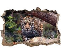 3D Stickers Muraux Décalcomanies Art Jaguar Tiger Leopard Smashed Wall Decal Graphic Sticker Art Mural Animals Peintures Murales Affiche Chambre Décoration 50x75cm