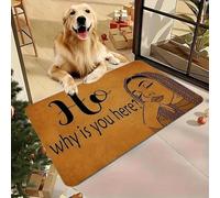 3D Stylish Brown Coconut Doormat with Playful Phrase Why are You Here? Home Machinery Interior Decorative Floor Mat-60x90cm