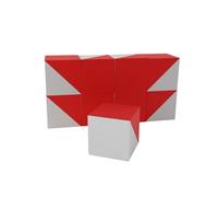 3D3 & CO - Cubes de Kohs, 9 Cubes Rouges et Blancs de 2,5 cm, pour Tester comme Test WISC et Test WAIS