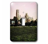 3dRose (1) Interrupteur à bascule simple (lsp_246179_1) Angleterre victorienne Ely cathédrale 1890 Cambridgeshire pâturage de moutons