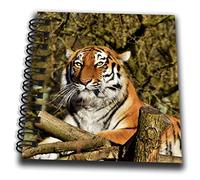 3dRose Bloc-notes avec drapeau blanc, 10 x 10 cm