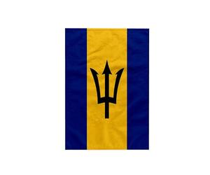 3dRose Drapeau de la Barbade, Bleu des Caraïbes, Jaune doré et Trident, Drapeau du Monde de l'île de la Barbade, Polyester/Coton, Multicolore, 38,1 x 55,9 cm