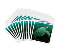 3drose GC 10139 _ 2 6 x 15,2 cm "Tortue de mer verte, Chelonia Mydas, Punta Moreno Isabela Island Galapagos" carte de voeux (lot de 12)