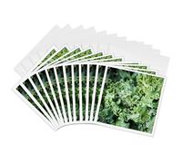 3drose GC 251394 2 6 x 15,2 cm "Chou frisé pour vente à une Farmers Market, Charleston, Caroline du Sud USA" carte de voeux (lot de 12)
