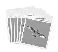 3dRose Gc_306509_1 Lot de 6 cartes de vœux avec photo en noir et blanc d'une mouette qui s'envole sur la tête 15,2 x 15,2 cm