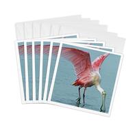 3drose GC 35348 _ 1 6 x 15,2 cm "UpClose Sterne de Spatule Rose Tropic Bird" carte de voeux (lot de 6)