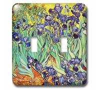 3dRose LLC 3dRose LLC lsp_155630_2 Irises de Vincent van Gogh 1889 - fleurs violettes jardin d'iris - copie de la célèbre peinture du maître - Double interrupteur à bascule