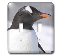 3dRose LLC lsp_10518_2 Portrait de la tête Gentoo Pingouin, double interrupteur à bascule