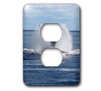 3dRose LLC Lsp_10708_6 Capot de prise de sortie 2 baleines