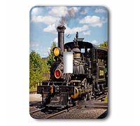 3dRose LLC. Lsp_191242_1 The Sites Greenfield Village In Dearborn, Michigan, USA - Interrupteur à bascule simple, multicolore