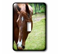 3dRose LLC. lsp_218801_1 Tête de Cheval Marron Foncé est Une Photo Avant D'Un Beau Cheval - Interrupteur À Bascule, Multicolore