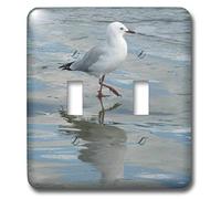 3dRose LLC lsp_22814_2 Seagull Wading at The Ocean S Edge Whangaparaoa New Zealand Double interrupteur à bascule