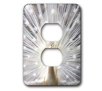 3dRose LLC lsp_4060_6 Capot de sortie 2 prises Blanc Paon