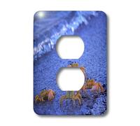 3dRose LLC lsp_46261_6 Four Yellow Ghost Crabs Walking on The Beach, Shark Bay, Australie-Occidentale, 2 prises de prises