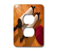 3dRose LLC lsp_53299_6 Sacred Scrolls The Torah, couvercle de prise 2 prises