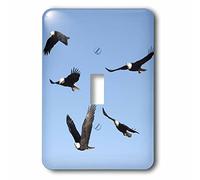 3dRose LLC lsp_83849_1 Bald Eagles 5 in The Frame Homer Alaska Na02 Dno0202 David Northcott Interrupteur à bascule simple