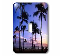 3dRose LLC. lsp_89814_1 Sunset On Waikiki Beach Oahu, Hawaii, USA - US12 Mde0010 - Michael Defreitas - Interrupteur à bascule unique, multicolore