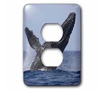 3dRose LLC lsp_89830_6 Hawaii, Big Island, bosse baleine brèche Us12 Pso0004 Paul Souders 2 prises