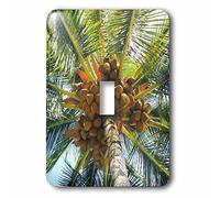 3dRose LSP_107120_2,5 cm Cacao Tree on The Big Island of Hawaii Interrupteur à bascule unique Multicolore