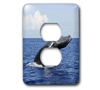 3dRose lsp_10715_6 Capot de prise 2