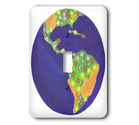 3dRose Lsp_13569_1 Planet Earth Bouquet Interrupteur à bascule simple