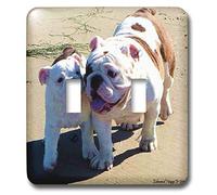 3dRose Lsp_13738_2 You Belong with Me Interrupteur à bascule double