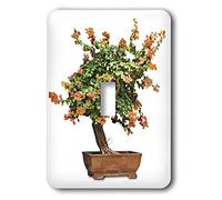 3dRose Lsp_13926_1 Penjing Bonsaï avec interrupteur à bascule à fleurs d'orange