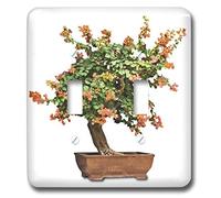 3dRose Lsp_13926_2 Penjing Bonsaï avec double interrupteur à bascule Motif fleurs d'orange