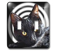 3dRose lsp_17306_2 Black Cats Spell Interrupteur à baïonnette, Noir