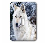 3drose LSP 173719 _ 1 Rocky Mountain Loup Gris pour interrupteur