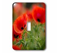 3dRose lsp_187771_1 Close-up Of Coquelicots In Fields Central Turkey Interrupteur à bascule simple Rouge