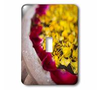 3dRose LSP_187789_1 Flower Petals Floating on Water Surface in Udaipur, Rajasthan Interrupteur à baïonnette, 0,125