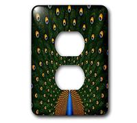 3dRose lsp_18919_6 Capot de prise 2