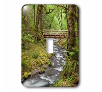 3dRose lsp_190654_1 USA, Oregon, Columbia River Gorge, pont en bois au-dessus de Gorton Creek - Interrupteur à bascule, multicolore