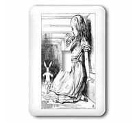 3dRose lsp_193789_1 Follow The White Rabbit Illustration d'Alice au pays des merveilles John Tenniel Interrupteur à bascule Multicolore