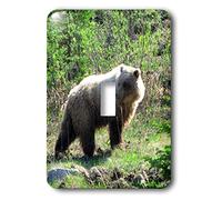 3dRose Lsp_21593_1 Grizzly Bear Out For A Walk In Sunny Yukon Territory Interrupteur à bascule simple