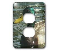 3dRose lsp_22251_6 Capot de sortie 2 prises Canard colvert