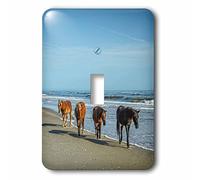 3dRose LSP_231414_1 A Group Wild Spanish Mustangs of Corolla Walking Along The Beach Interrupteur à baïonnette, Ne s'applique Pas