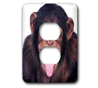 3dRose Lsp_23449_6 Cache de prise 2 singes rire